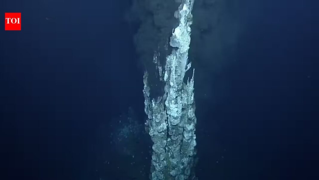 An underwater chimney collapsed at a Pacific hydrothermal vent; scientists discovered a ‘new one growing’ at its location | An underwater chimney collapsed at a Pacific hydrothermal vent; scientists discovered a ‘new one growing’ at its location |