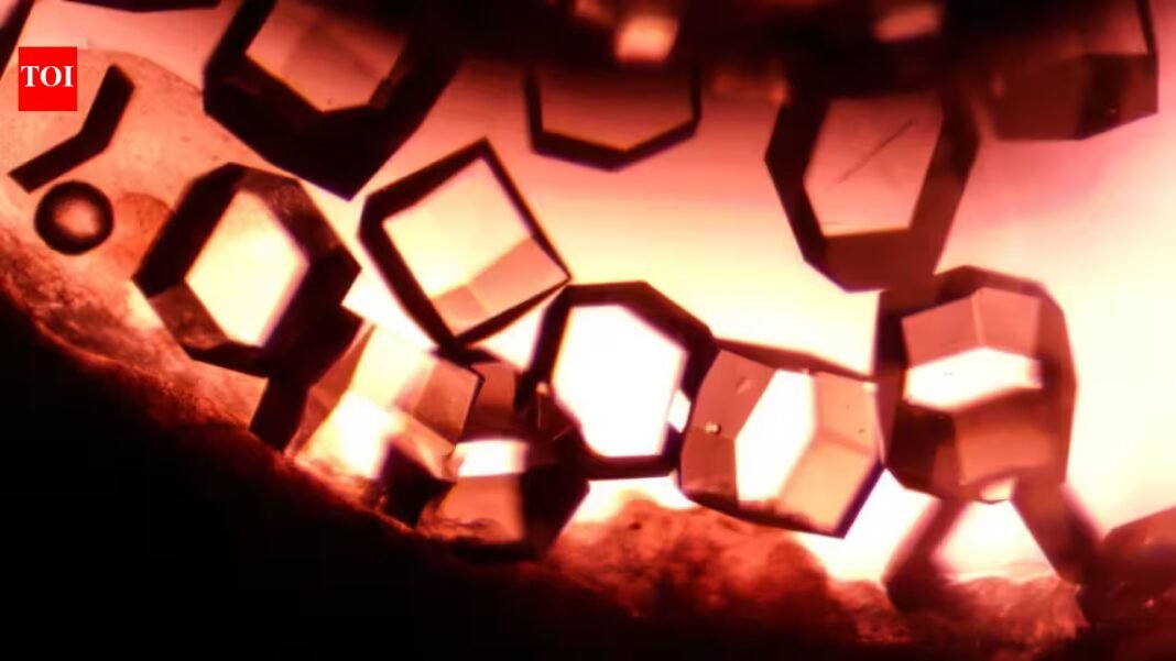 NASA grew crystals from a protein found in human tears aboard ISS; scientists use them to study how proteins form in space | NASA grew crystals from a protein found in human tears aboard ISS; scientists use them to study how proteins form in space |