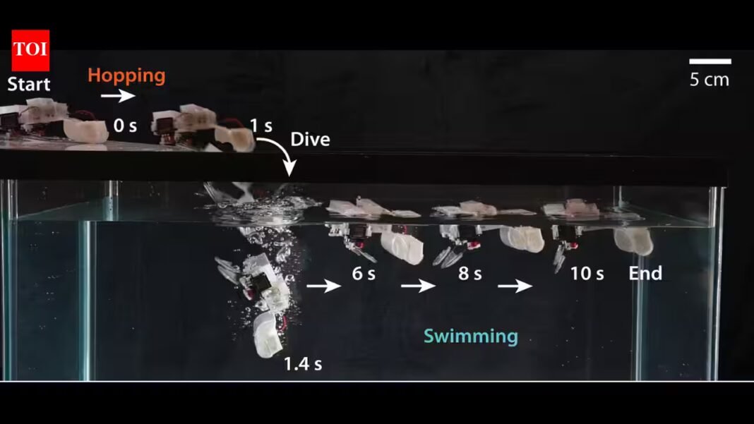 Scientists develop a tiny 98-gram hopping robot that uses snapping elastic metal rods to move faster across six terrains, climb stairs and swim through water | Scientists develop a tiny 98-gram hopping robot that uses snapping elastic metal rods to move faster across six terrains, climb stairs and swim through water |