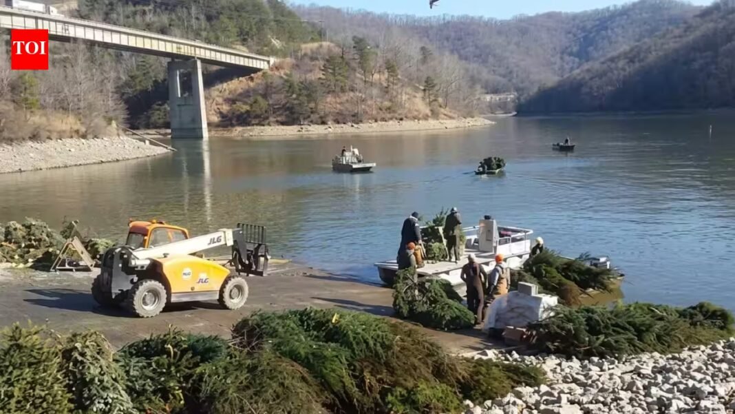 Kentucky collected about 5,000 discarded Christmas trees in 2026 instead of sending them to landfills; officials sank 1,700 in a single lake to replace lost underwater shelter for fish Kentucky collected about 5,000 discarded Christmas trees in 2026 instead of sending them to landfills; officials sank 1,700 in a single lake to replace lost underwater shelter for fish