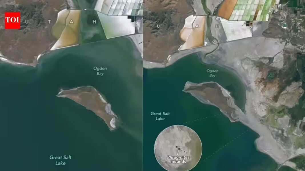 Falling water levels at Utah’s Great Salt Lake exposed mysterious circular mounds; freshwater springs beneath them may supply up to 12% of the lake’s water budget | Falling water levels at Utah’s Great Salt Lake exposed mysterious circular mounds; freshwater springs beneath them may supply up to 12% of the lake’s water budget |