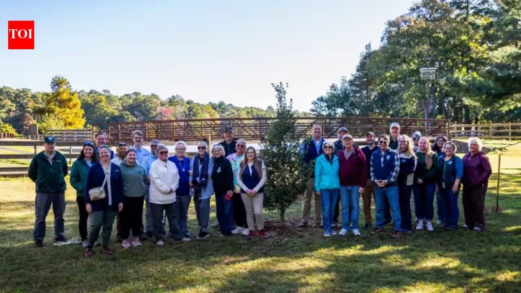 Delaware marked its state parks’ 75th anniversary by planting its 75,000th tree, completing a five-year goal across 17 parks while a broader program aims for one million new trees by 2030 Delaware marked its state parks’ 75th anniversary by planting its 75,000th tree, completing a five-year goal across 17 parks while a broader program aims for one million new trees by 2030