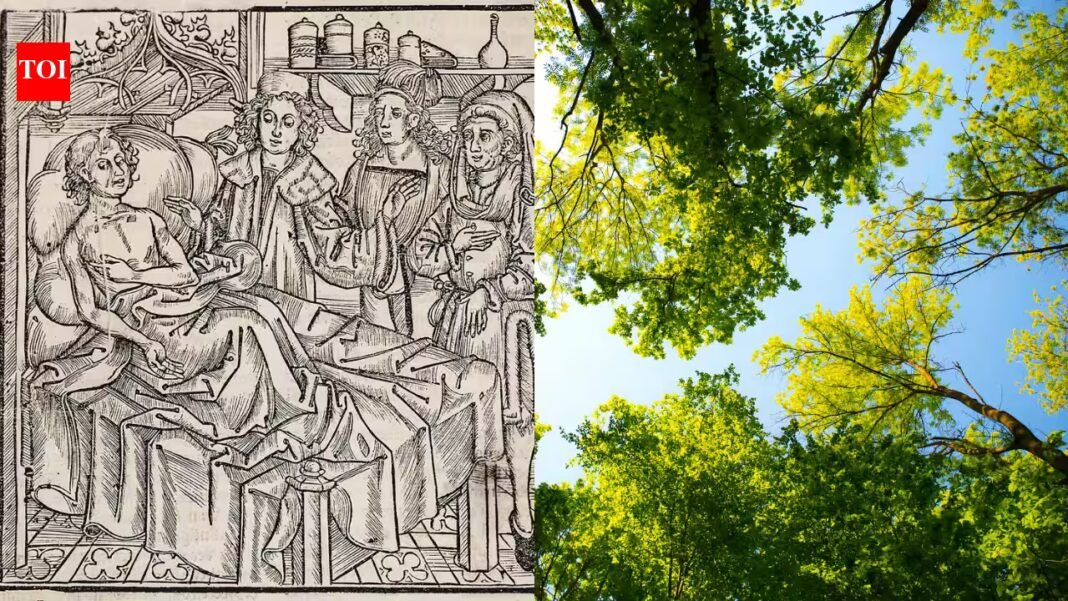 Europe’s plant diversity fell after the Black Death as farmland was abandoned; analysis of 109 fossil pollen records shows it recovered as cultivation returned | Europe’s plant diversity fell after the Black Death as farmland was abandoned; analysis of 109 fossil pollen records shows it recovered as cultivation returned |