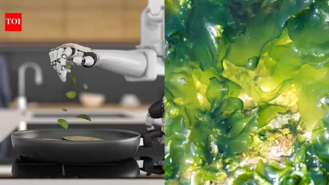 Dutch scientists built a tiny robotic arm using living algae and two layers of gel; controlled by light, the two-centimetre strip grasped a metal ball and lifted a rubber ring underwater without a conventional motor Dutch scientists built a tiny robotic arm using living algae and two layers of gel; controlled by light, the two-centimetre strip grasped a metal ball and lifted a rubber ring underwater without a conventional motor
