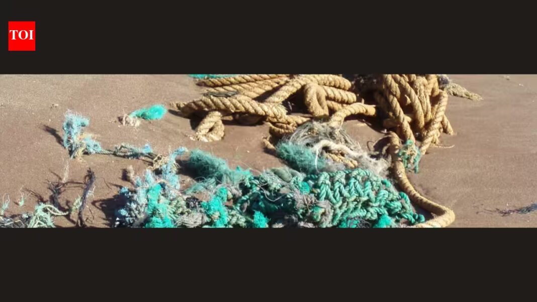 Hawaii turns abandoned fishing nets into electricity to power over 300 homes while fighting ocean pollution and protecting marine wildlife | Hawaii turns abandoned fishing nets into electricity to power over 300 homes while fighting ocean pollution and protecting marine wildlife |