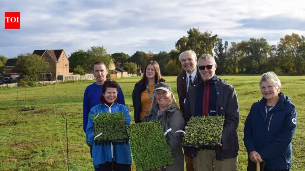 Hundreds of native wildflowers planted at a Norfolk recreation ground to create a meadow for bees, butterflies and other wildlife | Hundreds of native wildflowers planted at a Norfolk recreation ground to create a meadow for bees, butterflies and other wildlife |