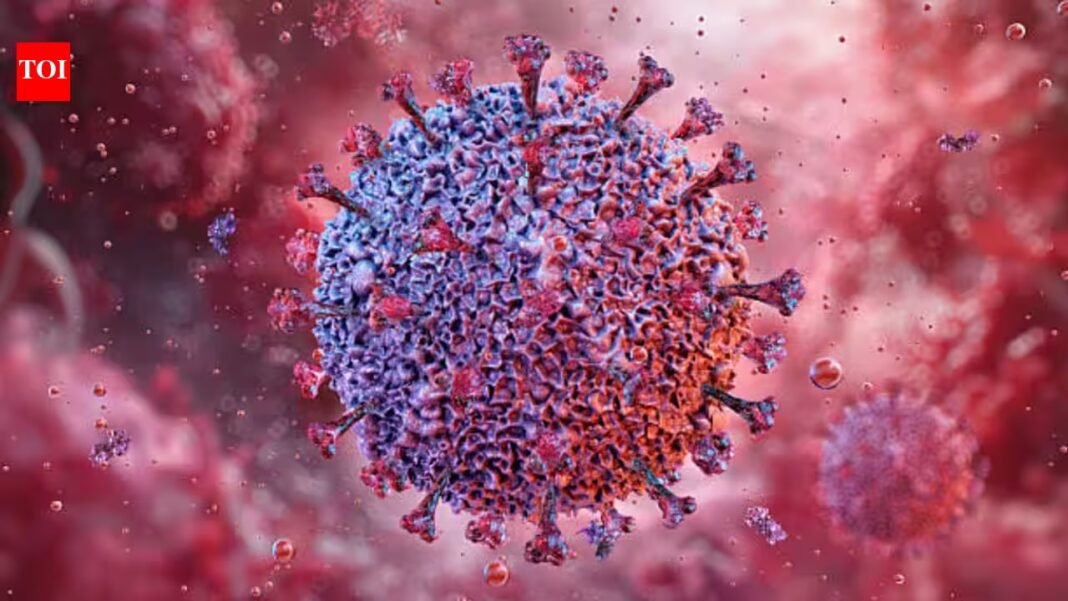An animal-borne virus called Shamonda, which normally circulates in livestock, has infected and killed a human for the first time on record, raising fresh questions about diseases that jump from animals to people An animal-borne virus called Shamonda, which normally circulates in livestock, has infected and killed a human for the first time on record, raising fresh questions about diseases that jump from animals to people