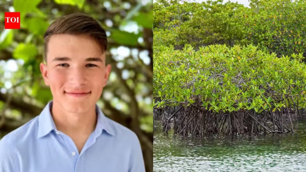 Meet Isaac Nelson, the 13-year-old Florida boy whose EcoScouts team released over 23,000 native clams, rescued 3,000 mangrove propagules and built oyster gardens estimated to filter 250,000 gallons of water daily Meet Isaac Nelson, the 13-year-old Florida boy whose EcoScouts team released over 23,000 native clams, rescued 3,000 mangrove propagules and built oyster gardens estimated to filter 250,000 gallons of water daily
