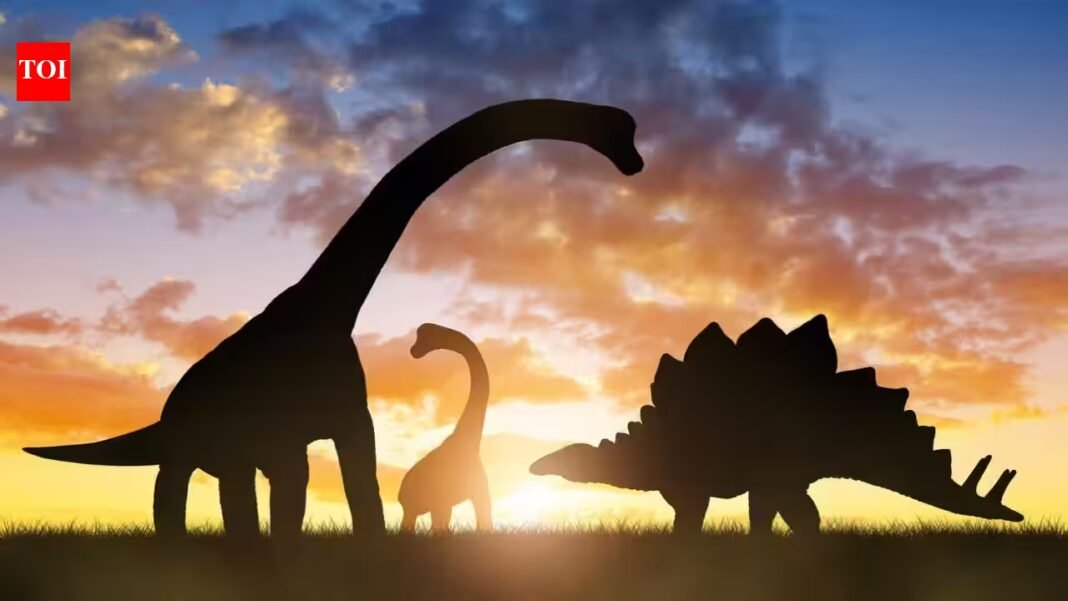 A newly identified bird-like dinosaur from the Cretaceous period may be the first known dinosaur specialised in fruit eating; researchers studied its chewing muscles to reconstruct a diet that differs from the meat and plant foods usually associated with dinosaurs A newly identified bird-like dinosaur from the Cretaceous period may be the first known dinosaur specialised in fruit eating; researchers studied its chewing muscles to reconstruct a diet that differs from the meat and plant foods usually associated with dinosaurs