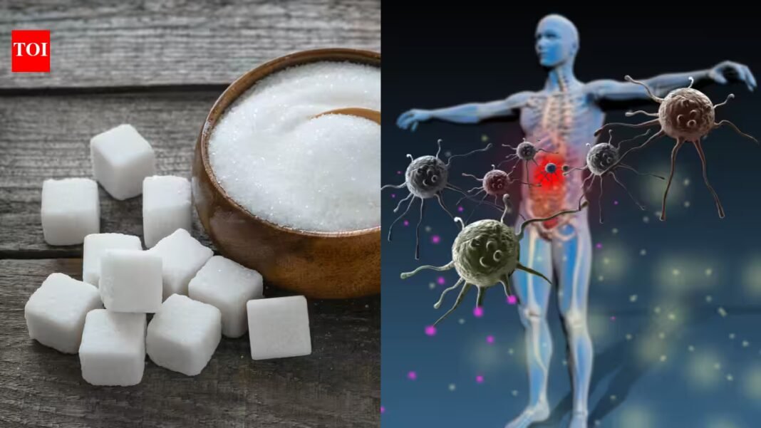 Taking antibiotics? Eating a lot of sugar at the same time may make the damage to your gut worse, scientists have found, suggesting that what you eat during a course of antibiotics could affect how well your body recovers Taking antibiotics? Eating a lot of sugar at the same time may make the damage to your gut worse, scientists have found, suggesting that what you eat during a course of antibiotics could affect how well your body recovers