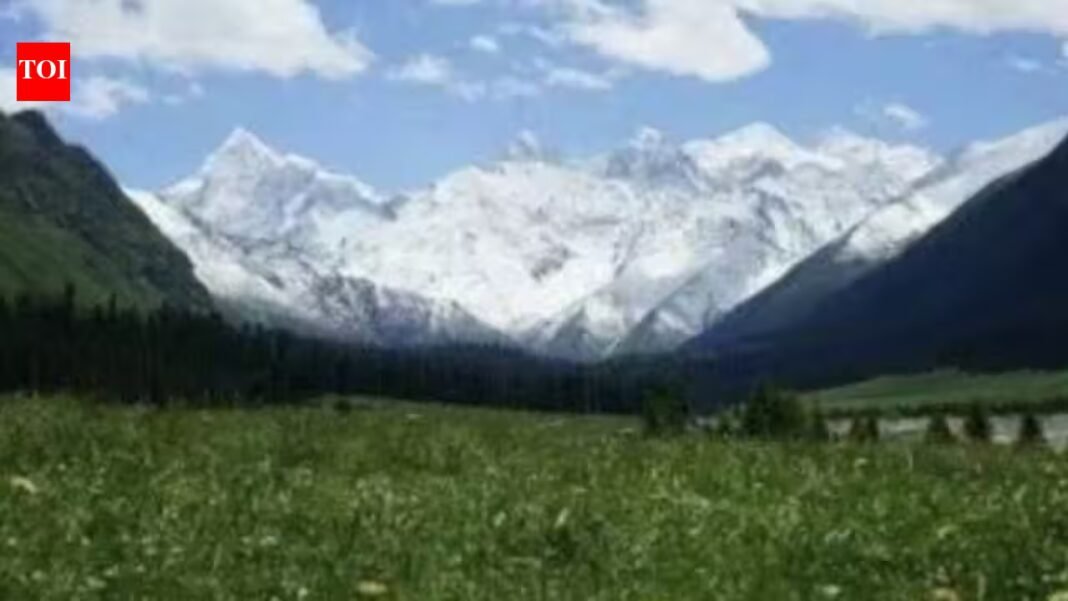 Scientists covered part of a Chinese glacier with fabric to slow melting; ice loss fell by 27% initially but the effect weakened | Scientists covered part of a Chinese glacier with fabric to slow melting; ice loss fell by 27% initially but the effect weakened |