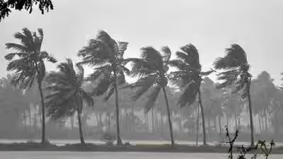 Online Classes During Cyclone: Cyclone Arnab: Schools closed in Tamil Nadu districts, Puducherry and Karaikal on October 26, check complete details here Online Classes During Cyclone: Cyclone Arnab: Schools closed in Tamil Nadu districts, Puducherry and Karaikal on October 26, check complete details here