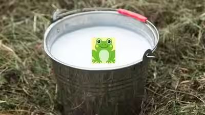 In Finland, people once put live frogs in milk to keep it fresh; the science behind this strange tradition | In Finland, people once put live frogs in milk to keep it fresh; the science behind this strange tradition |