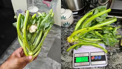 Chennai man orders cauliflower from Zepto, gets mostly greens instead: Internet says ‘They forgot to send the Cauli and just sent the flower’ Chennai man orders cauliflower from Zepto, gets mostly greens instead: Internet says ‘They forgot to send the Cauli and just sent the flower’