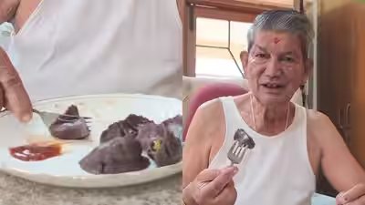 Harish Rawat: Mandua or ragi momos: Former Uttarakhand Chief Minister Harish Rawat shared a video of these nutritious millet-based momos, bringing attention to a healthier twist on the popular snack, here’s a simple recipe to try at home Harish Rawat: Mandua or ragi momos: Former Uttarakhand Chief Minister Harish Rawat shared a video of these nutritious millet-based momos, bringing attention to a healthier twist on the popular snack, here’s a simple recipe to try at home