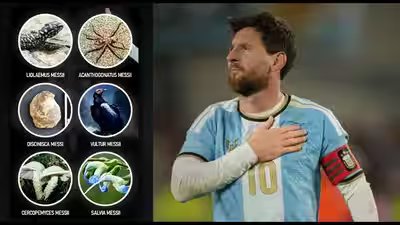 Lionel Messi breaks own Guinness World Record with six species named in his honour: All the insects, animals, fossils, fungi, and plants | Football News Lionel Messi breaks own Guinness World Record with six species named in his honour: All the insects, animals, fossils, fungi, and plants | Football News