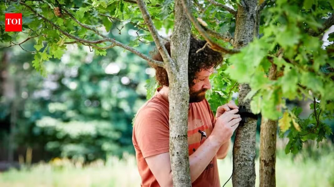A London museum’s urban garden collected more than 11 million environmental records in one year; 50 sensors tracked heat, humidity, birdsong and underwater sounds | A London museum’s urban garden collected more than 11 million environmental records in one year; 50 sensors tracked heat, humidity, birdsong and underwater sounds |