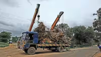 A Hyderabad developer building a 150-acre residential project faced losing around 800 mango trees to a link road, so he bought another plot and spent six to eight months moving the trees instead of cutting them down A Hyderabad developer building a 150-acre residential project faced losing around 800 mango trees to a link road, so he bought another plot and spent six to eight months moving the trees instead of cutting them down