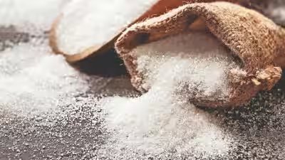 Sugar stock limit halved to 1,000 quintals as Centre tightens curbs ahead of festive season Sugar stock limit halved to 1,000 quintals as Centre tightens curbs ahead of festive season