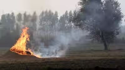 Stubble Burning: Centre asks states to go into ‘mission mode’ to curb stubble burning as farm fires rise in MP, Rajasthan | India News Stubble Burning: Centre asks states to go into ‘mission mode’ to curb stubble burning as farm fires rise in MP, Rajasthan | India News