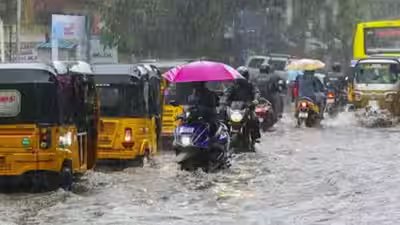 Tamil Nadu rain: Schools closed in Chennai and four other districts on October 21; check latest weather updates Tamil Nadu rain: Schools closed in Chennai and four other districts on October 21; check latest weather updates
